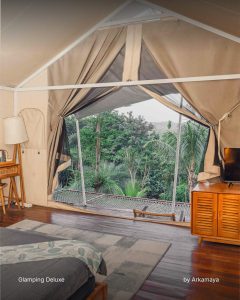 Rekomendasi Staycation Jogja Mewah dan Asri